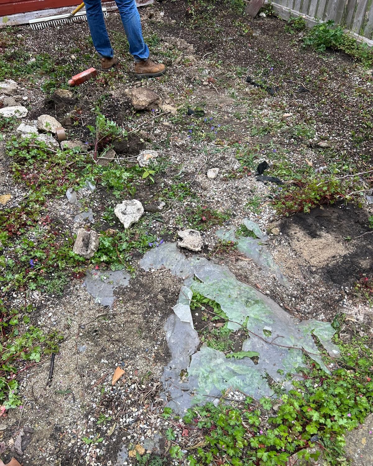 Garden state before clean up