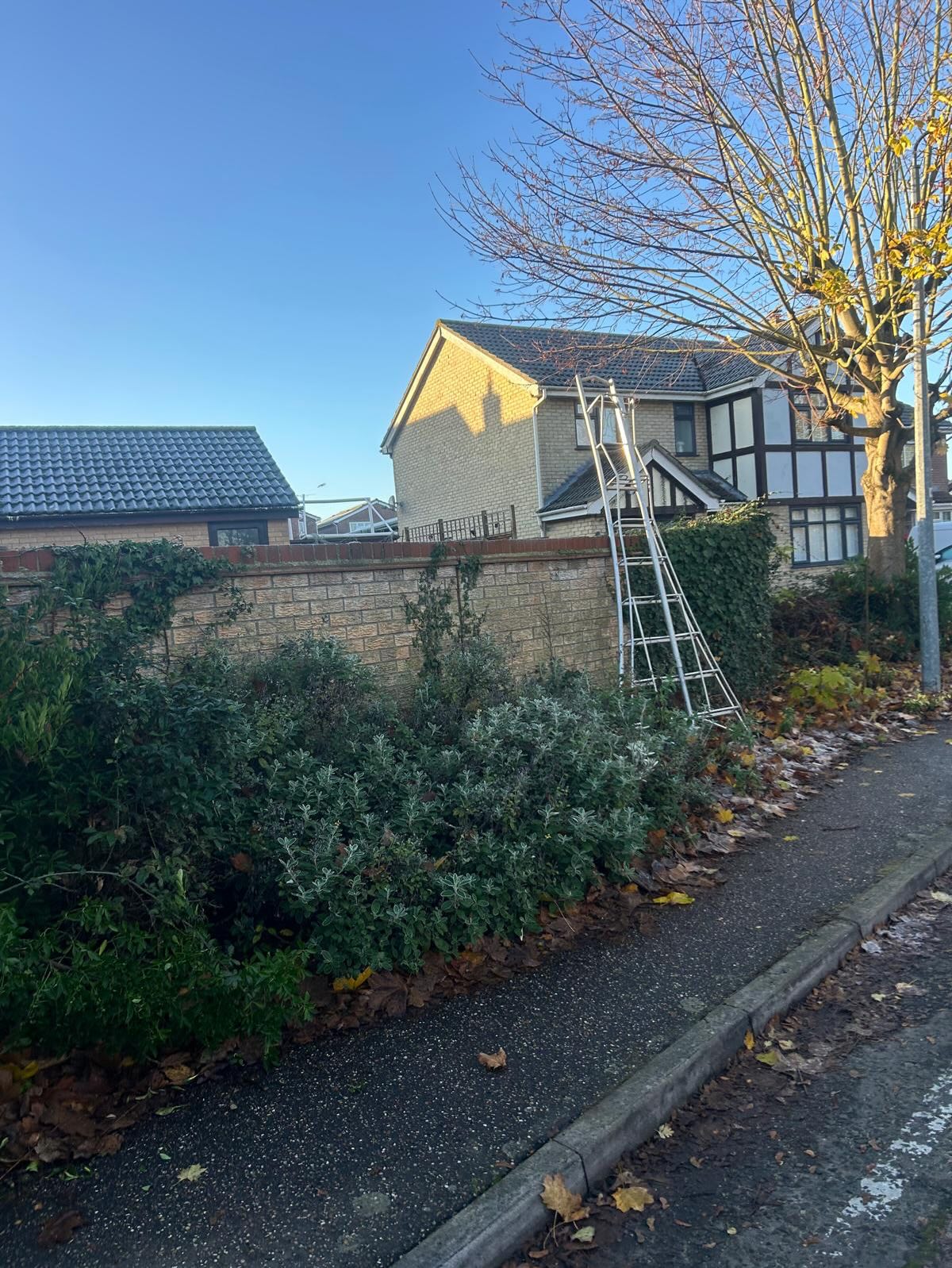 Wall before trimming